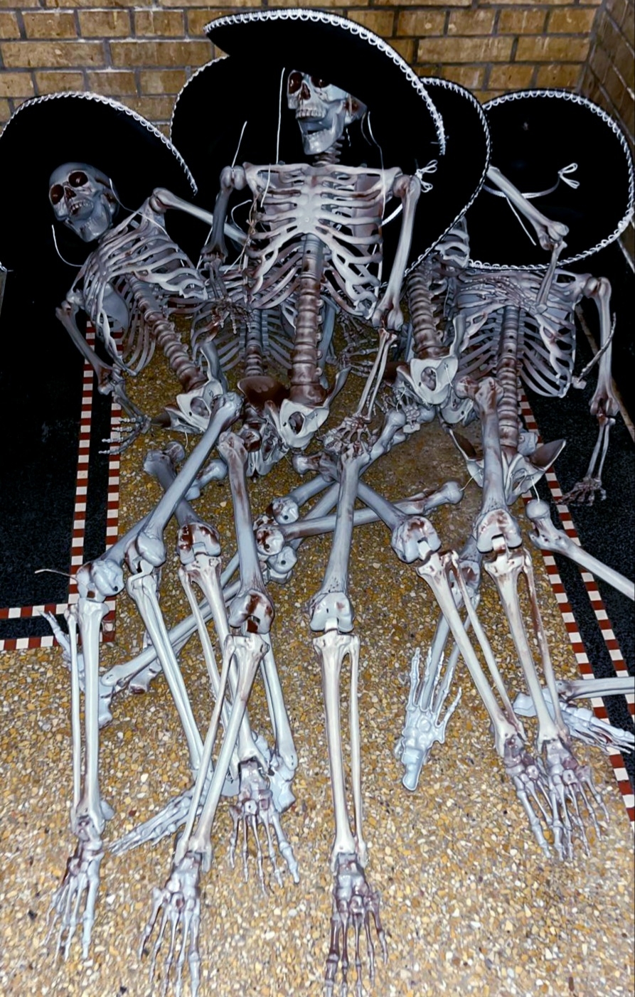 00232 skelet  l